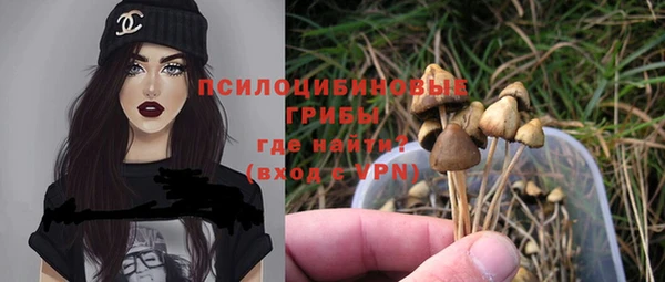 мескалин Арсеньев