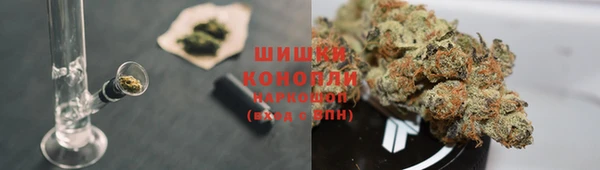 СК Аркадак