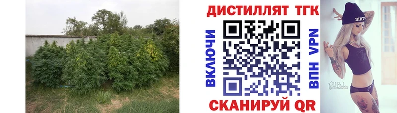 где можно купить наркотик  Малоярославец  Дистиллят ТГК Wax 