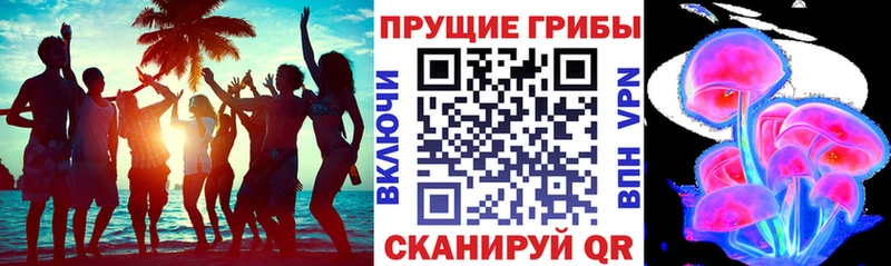 Псилоцибиновые грибы мицелий  Малоярославец 